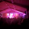15 4 musicool les artistes