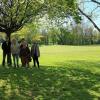 16 04 quel joli parc !