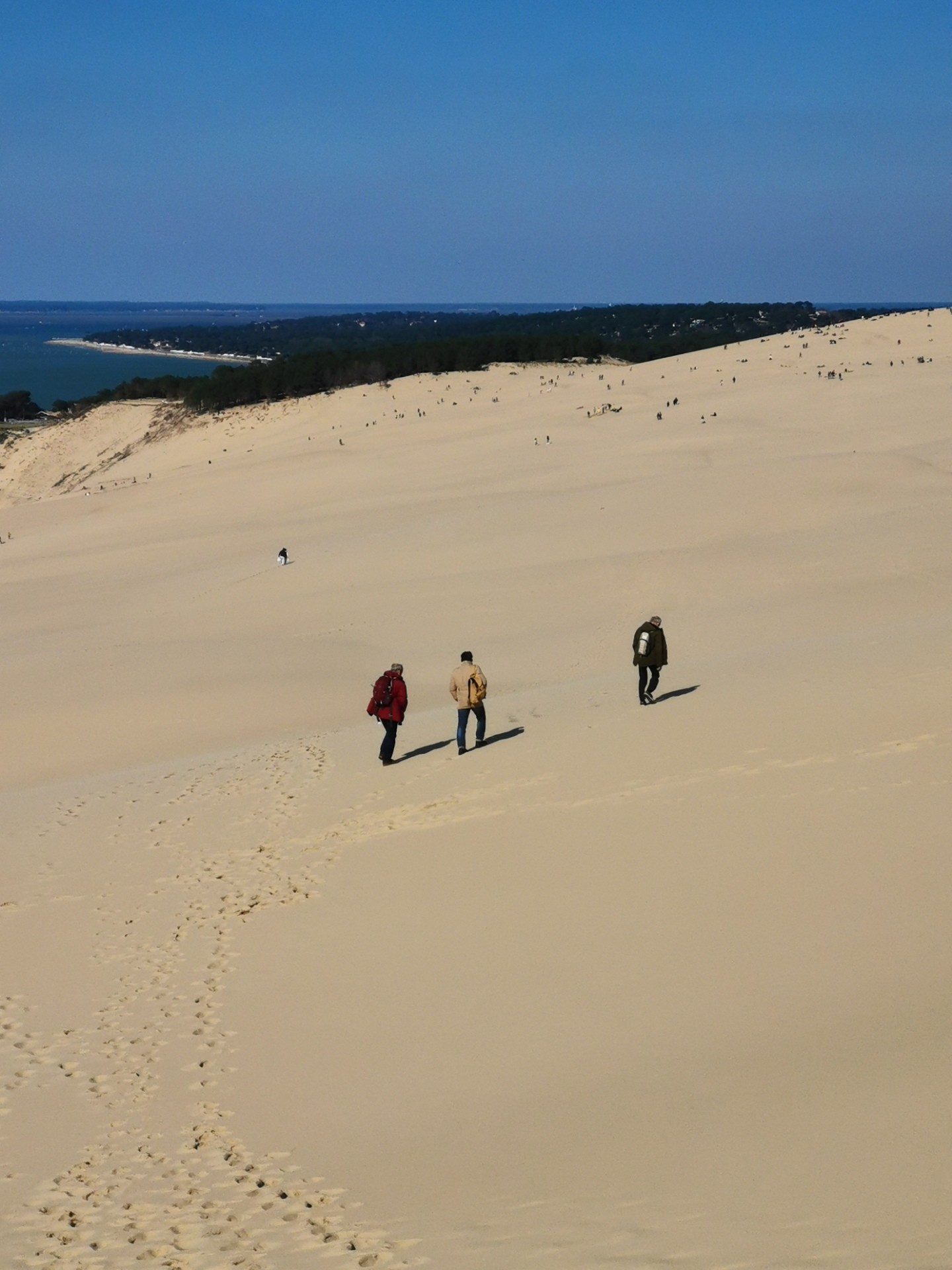 Dune du pyla