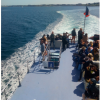 VOYAGE BELLE ILE EN MER