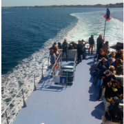 VOYAGE BELLE ILE EN MER