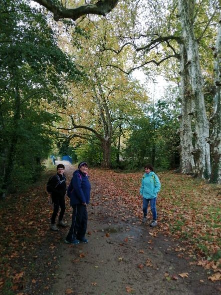 31.10.21 - La Roussille à Magné - 2