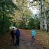 31.10.21 - La Roussille à Magné - 2