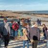 Visite guidee de la plage a piriac