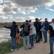 Visite guidée des marais salants a Guérande