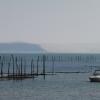 We arcachon 1