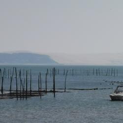 We arcachon 1